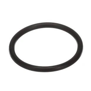 235757 O-RING